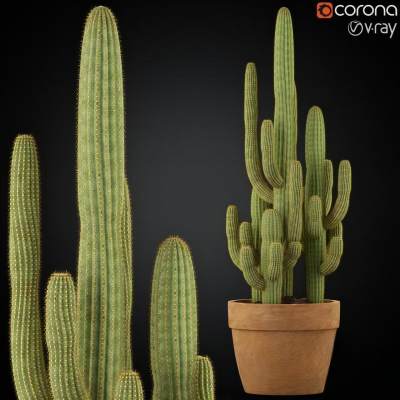 北欧仙人掌植物盆栽-1